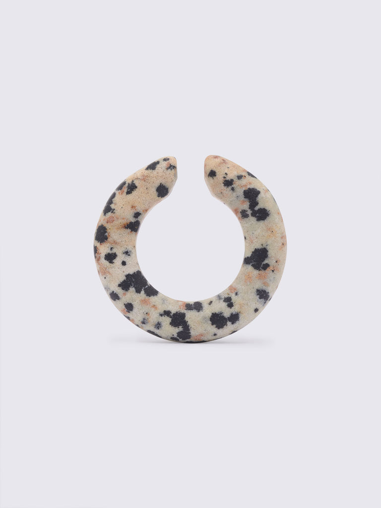 EDGAR DALMATIAN JASPER