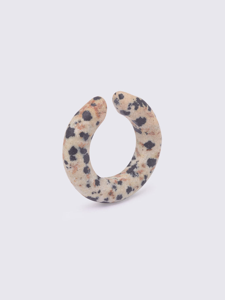 EDGAR DALMATIAN JASPER